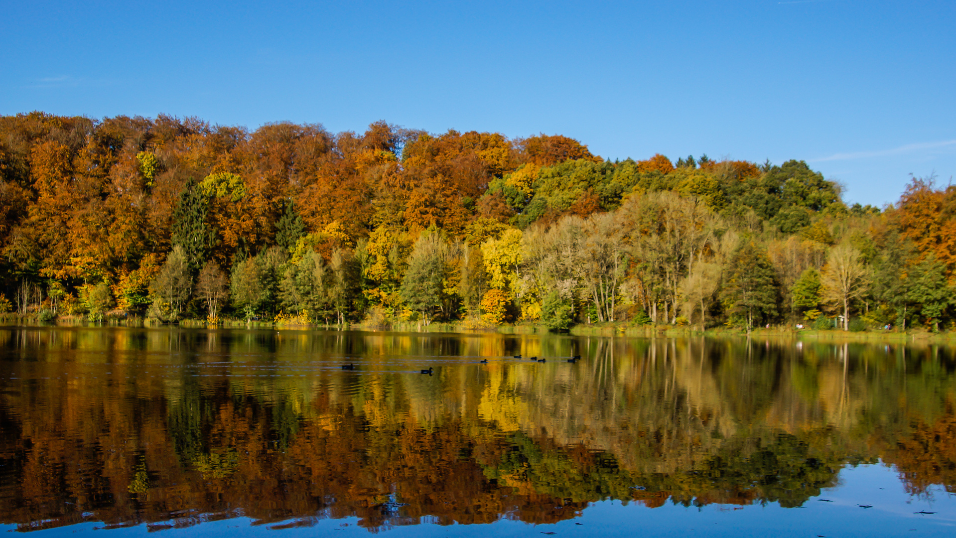 Indian Summer am Maar