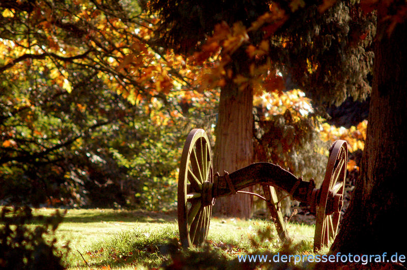 Indian Summer am Niederrhein 2