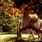 Indian Summer am Niederrhein 2