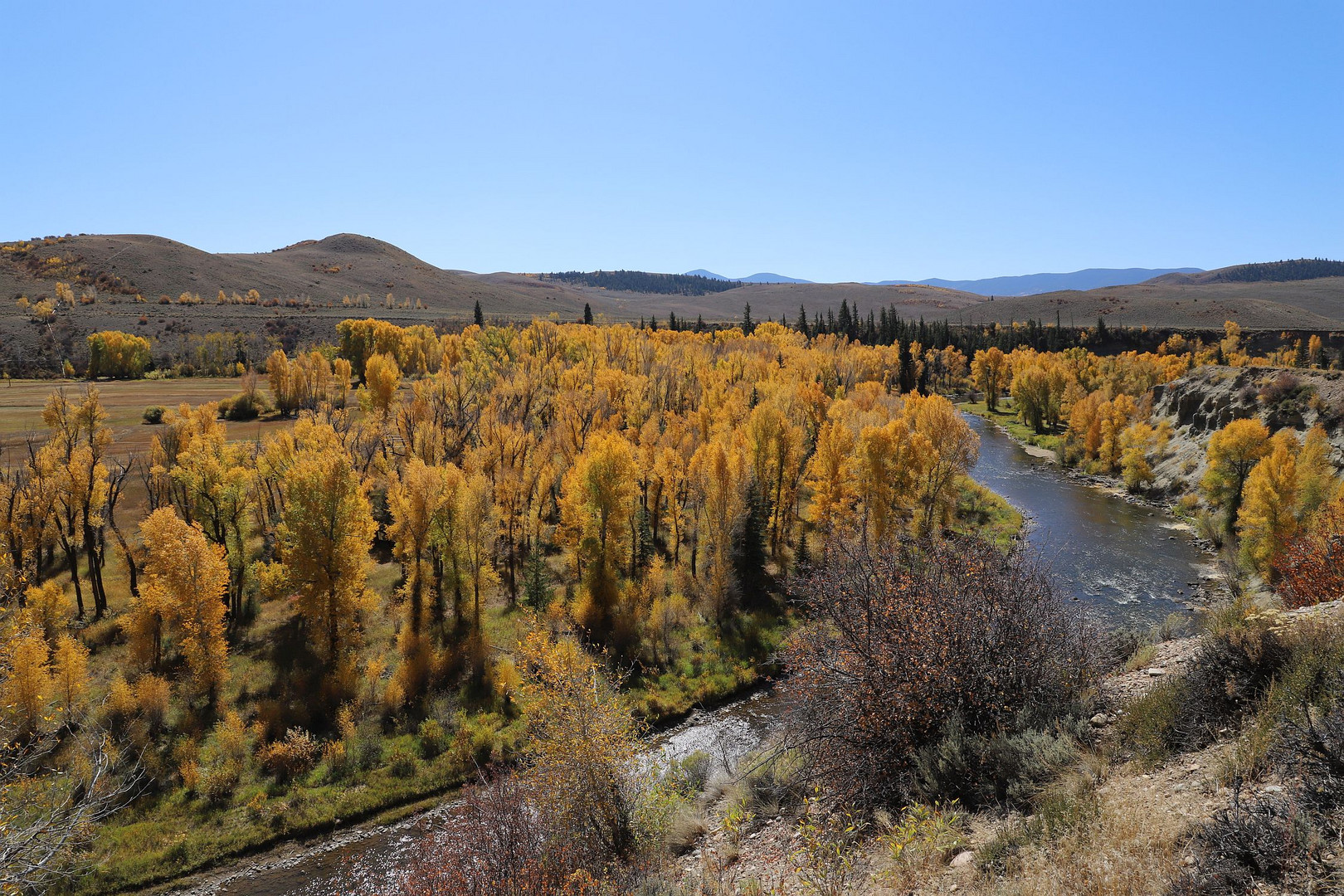 Indian Summer am noch jungen Colorado