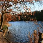 Indian summer am Schlachtensee in Berlin