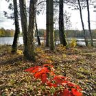 "Indian summer" am Seehofsee