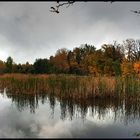 Indian Summer am Teich