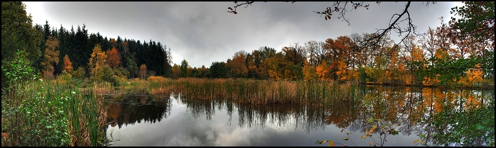 Indian Summer am Teich