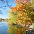 Indian Summer am Wolfsee