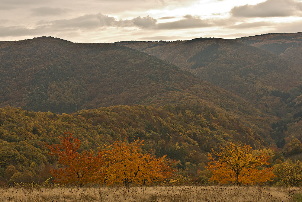 Indian Summer an der  Ahr