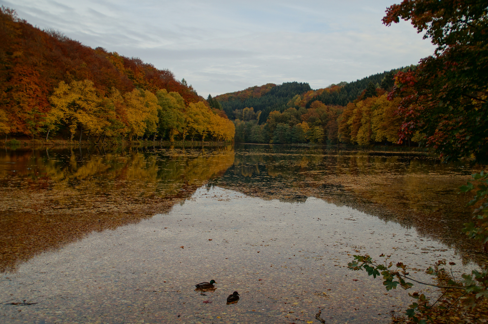 Indian Summer an der Fülbecke Talsperre (Sauerland)