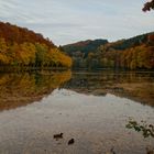 Indian Summer an der Fülbecke Talsperre (Sauerland)