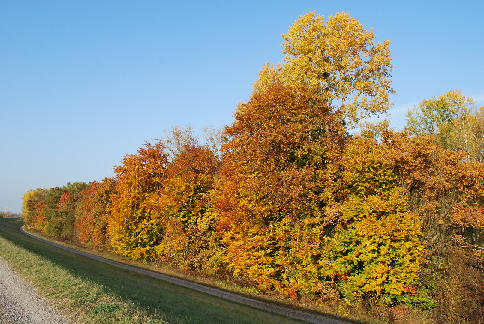 indian summer an der Kehler Rheinpromenade