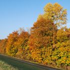 indian summer an der Kehler Rheinpromenade