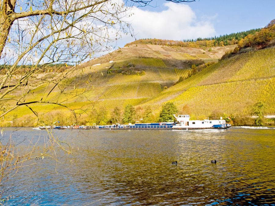 Indian-Summer an der Mosel