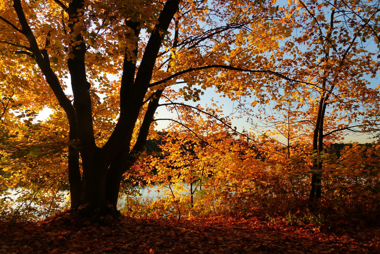 Indian Summer an der Wedau