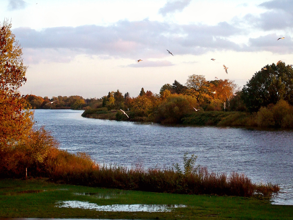 Indian Summer an der Weser