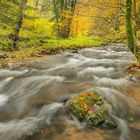 Indian Summer an einem regnerischen Tag im Wittgensteiner Land