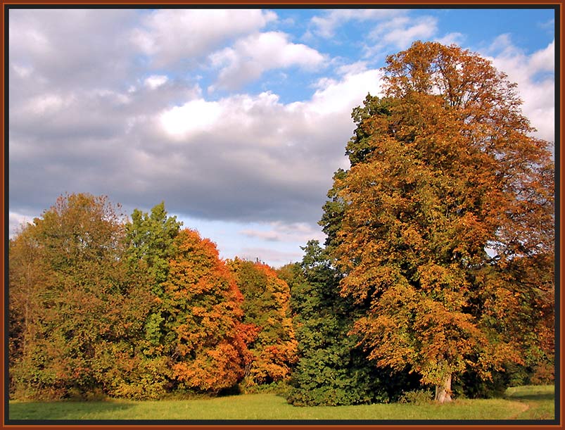 Indian Summer at Austria