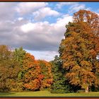 Indian Summer at Austria