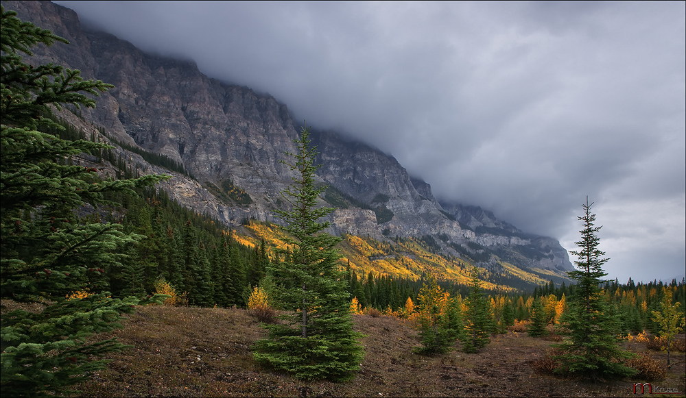 Indian Summer auf dem Icefields Parkway