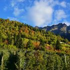 Indian Summer auf dem Obermairhof