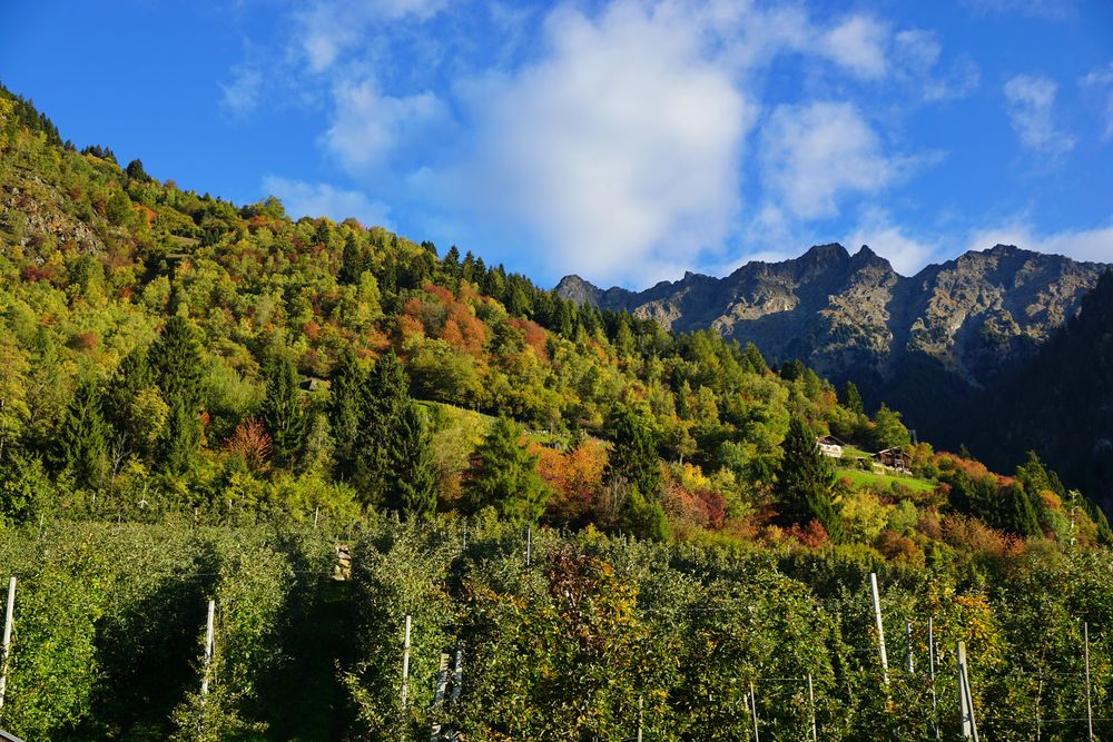 Indian Summer auf dem Obermairhof