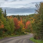 Indian Summer auf der Halbinsel Gaspésie