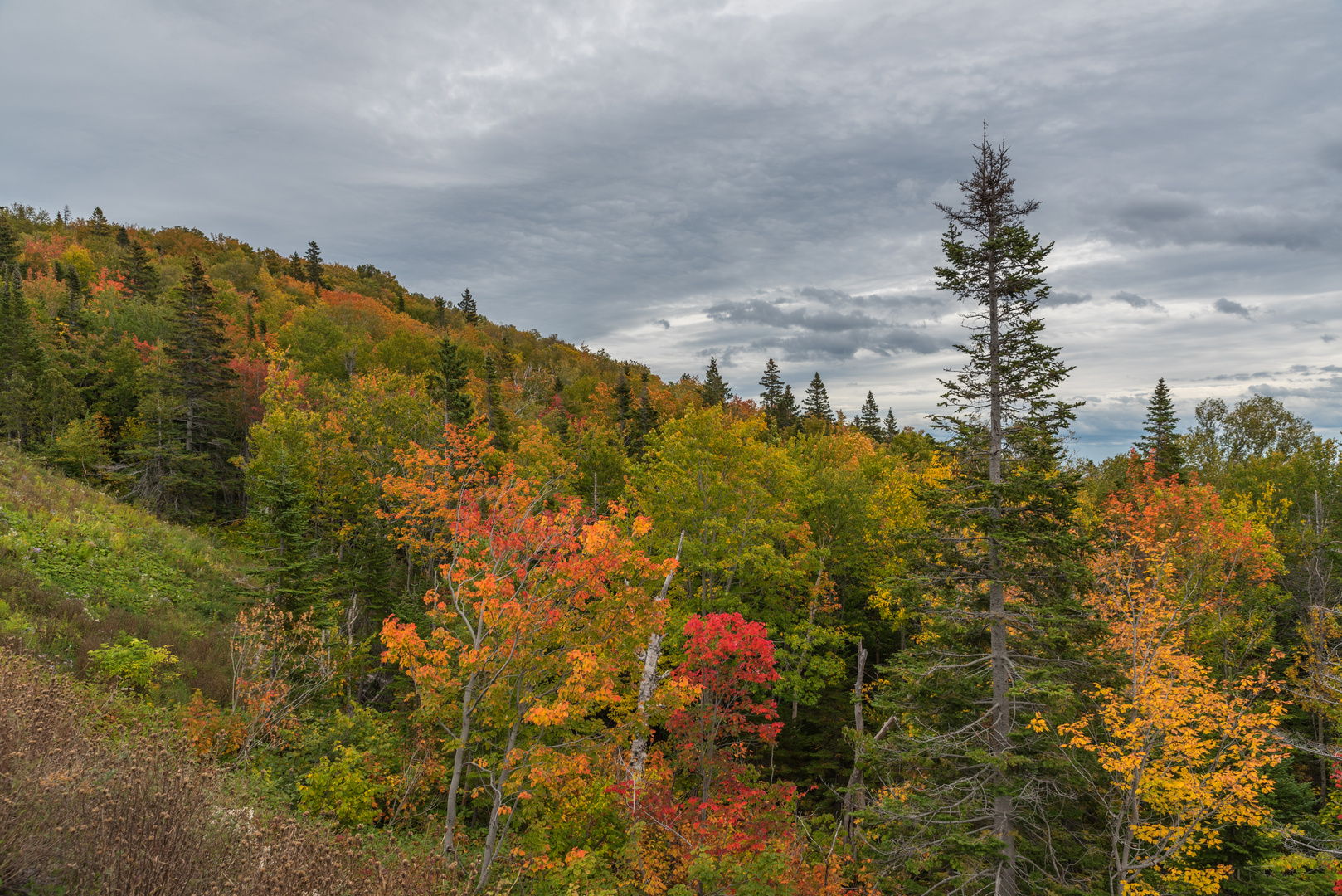 Indian Summer auf der Halbinsel Gaspésie