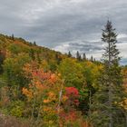 Indian Summer auf der Halbinsel Gaspésie