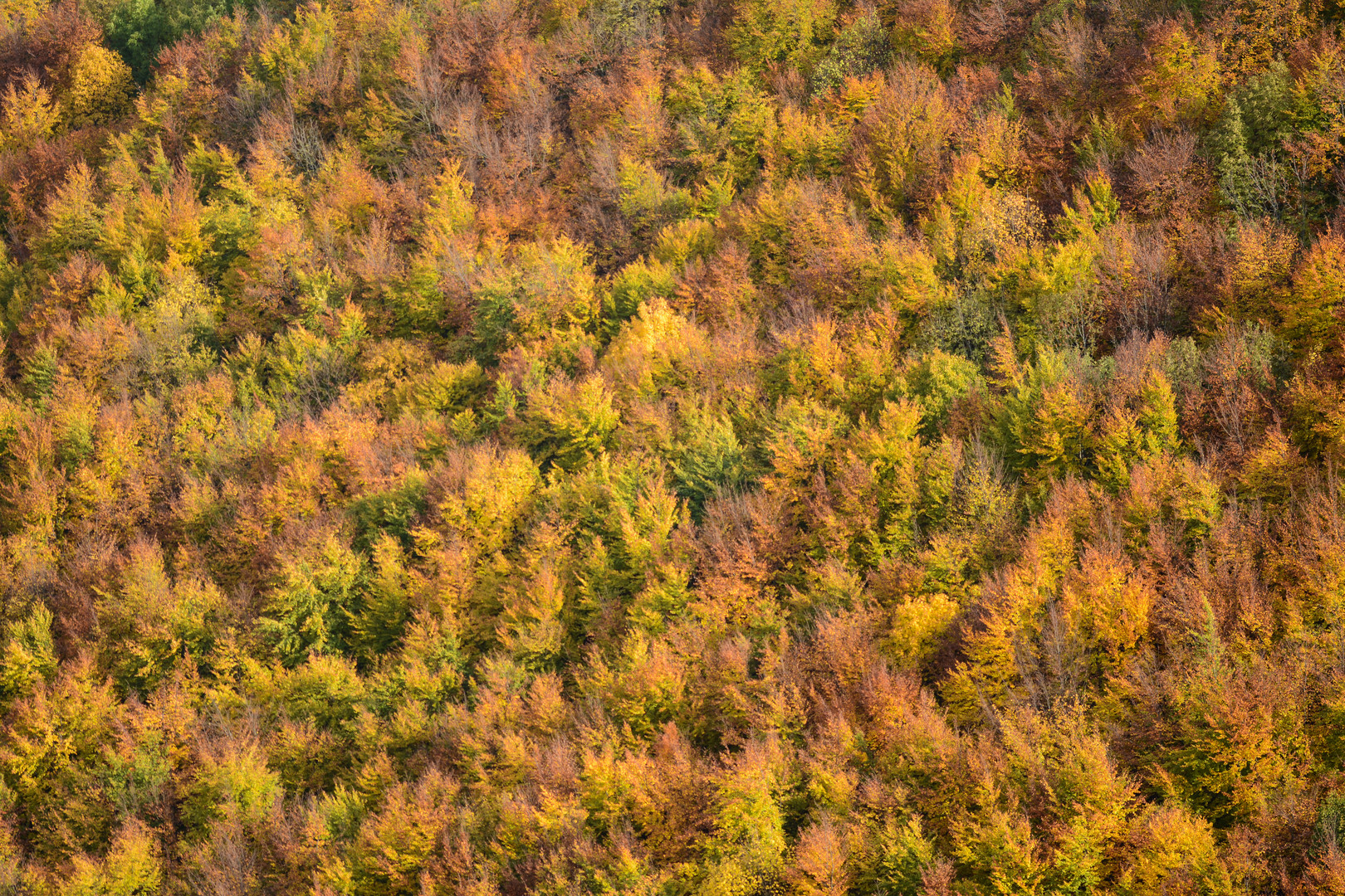 Indian summer auf der Schwäbischen Alb