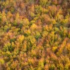 Indian summer auf der Schwäbischen Alb