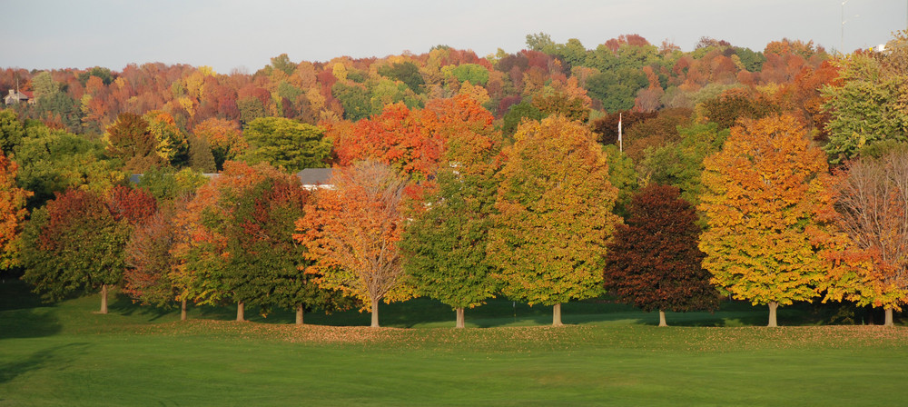 Indian Summer auf einen Blick