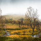 Indian Summer auf norwegisch 3