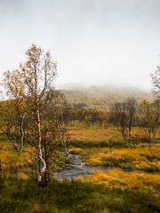 Indian Summer auf norwegisch 4