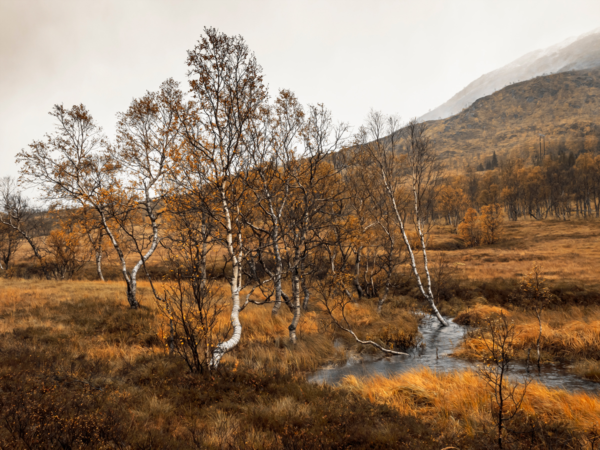 Indian Summer auf norwegisch