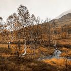 Indian Summer auf norwegisch