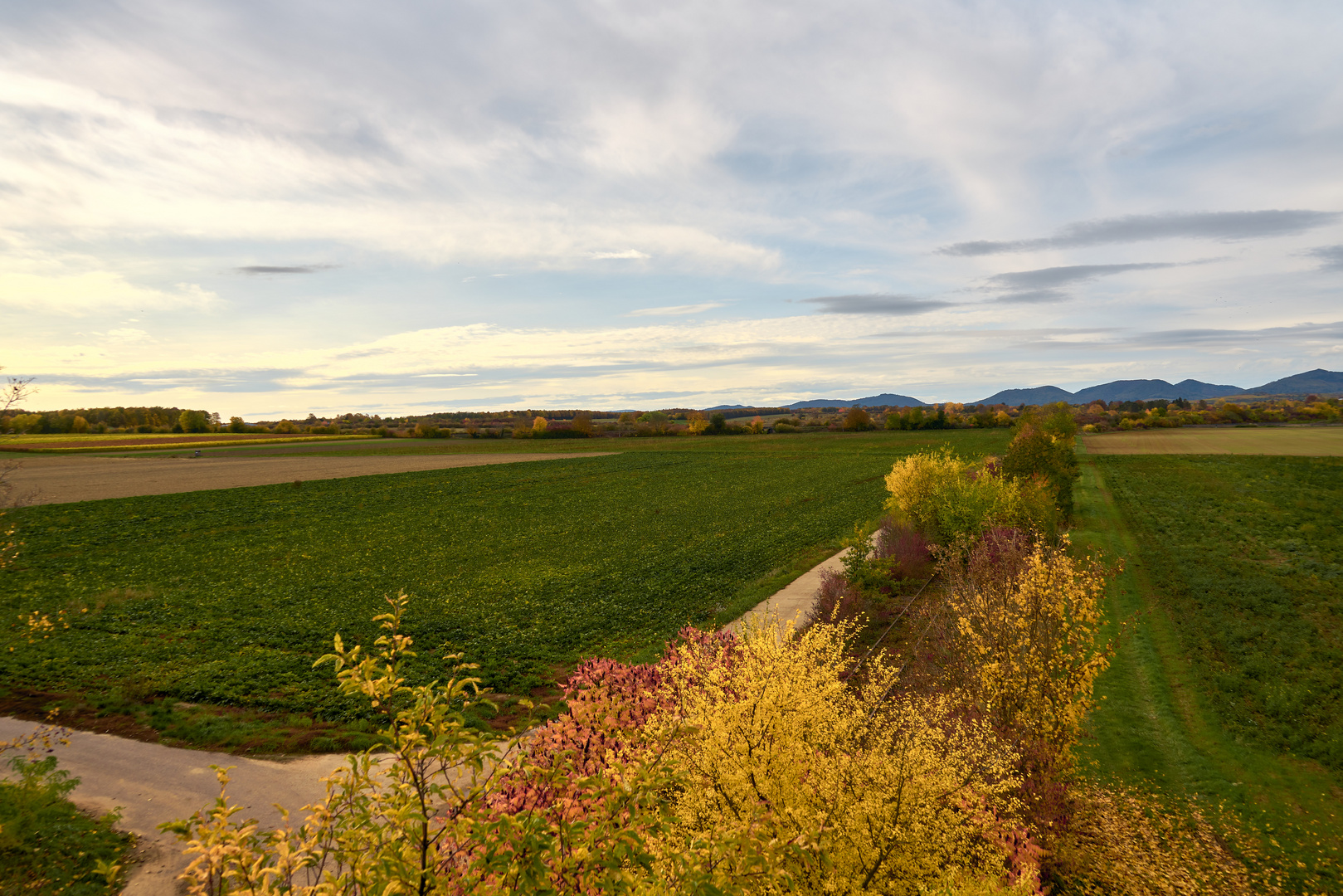 Indian Summer auf pfälzisch