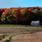 Indian Summer bei Sainte-Angèle-de-Prémont