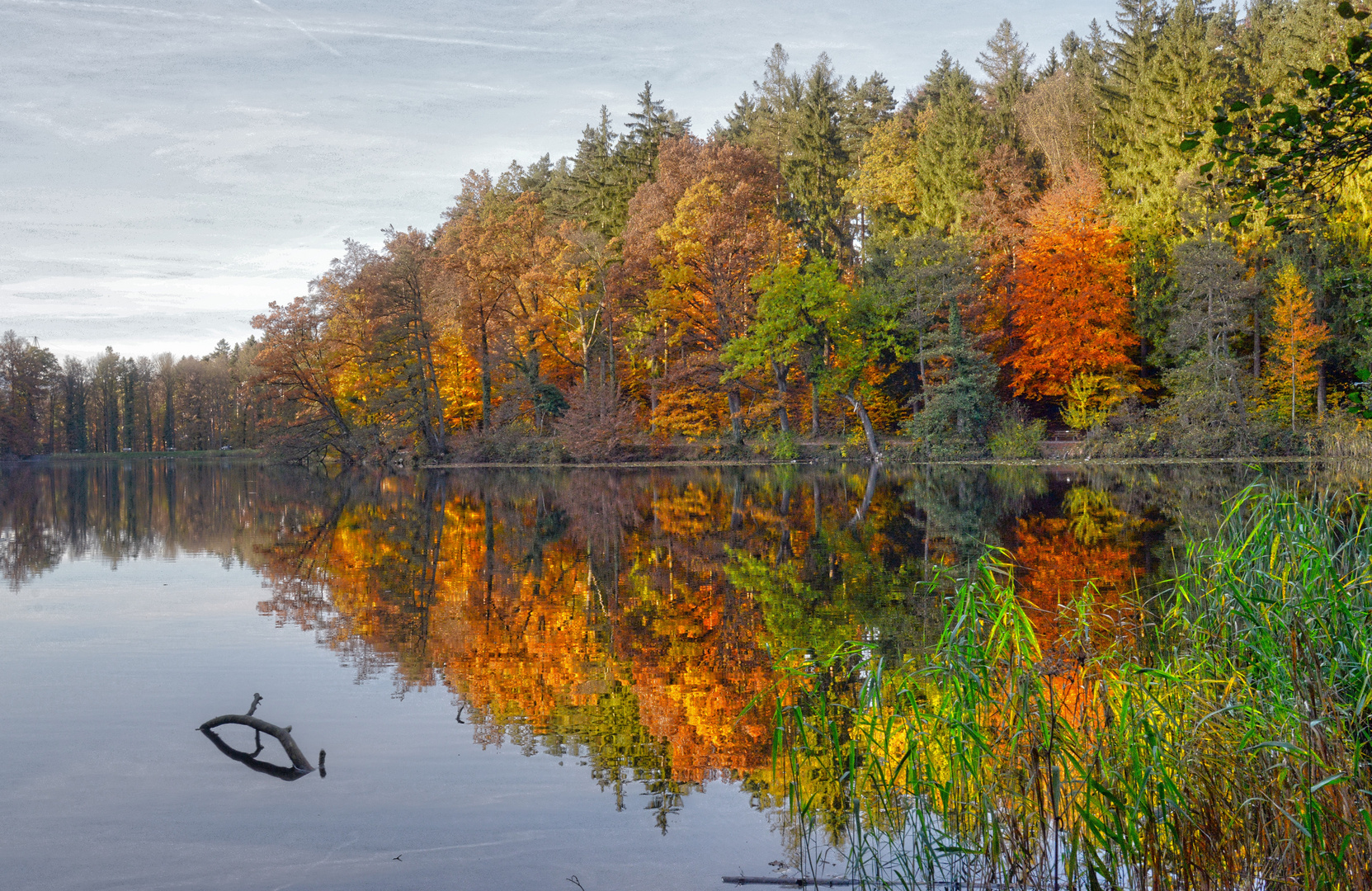 Indian Summer bei Zürich