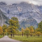 Indian Summer: Bergahorn im Karwendel 