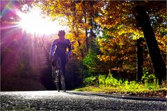 Indian Summer Biking