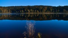 Indian Summer (Black Forest)