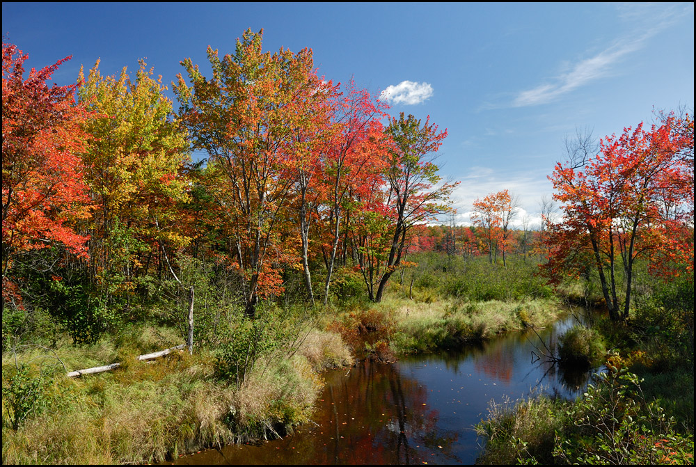 [ Indian Summer Colors ]