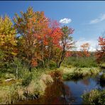 [ Indian Summer Colors ]