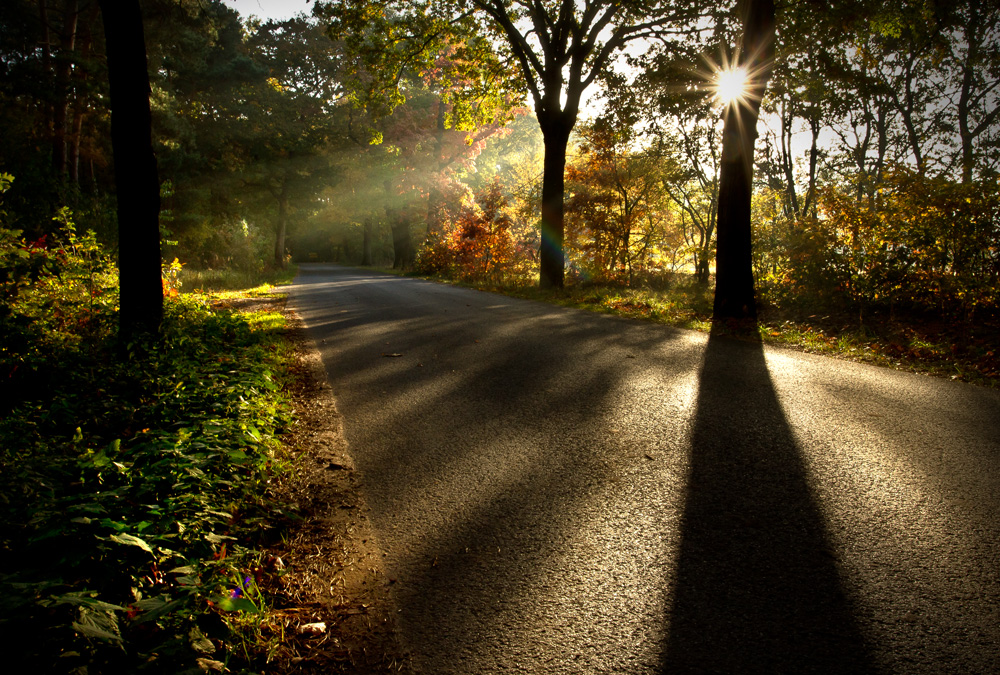 Indian Summer