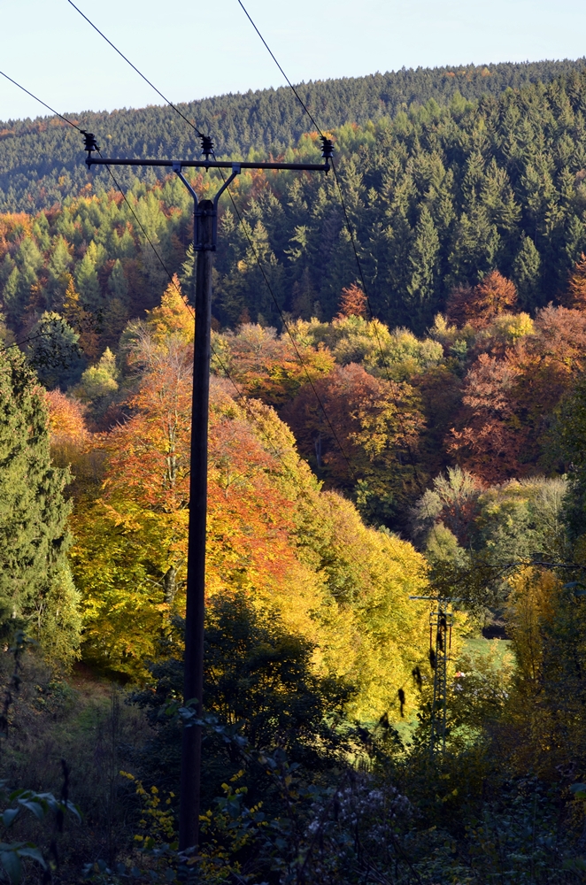 Indian Summer/ Eifel