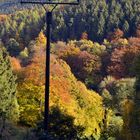 Indian Summer/ Eifel