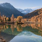 Indian Summer Engadin