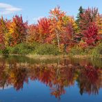 Indian Summer - fall foliage