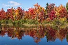 Indian Summer - fall foliage