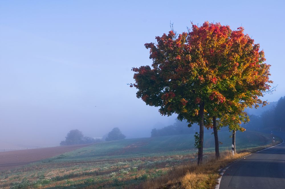 Indian Summer Farbe