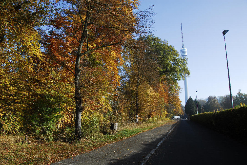 Indian Summer Feeling am Fernsehturm