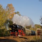 Indian Summer hinter Oelsnitz(V.)